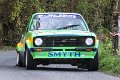 Monaghan Stages Rally 2014 SS7 (24 of 88)